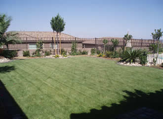 Pool Landscaping Irrigation