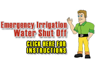 Swimming Pool Contractor, Builder, Designer