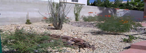 Swimming Pool Contractor, Builder, Designer - Desert Landscape