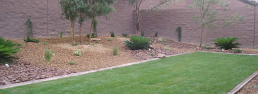 Swimming Pool Contractor, Builder, Designer - Grass, Real and Artificial